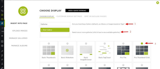 Choose Display NextGEN Gallery