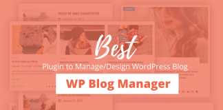 WP Blog Manager - WordPress Plugin Review