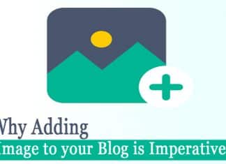 Why Adding Images to Blog is Imperative